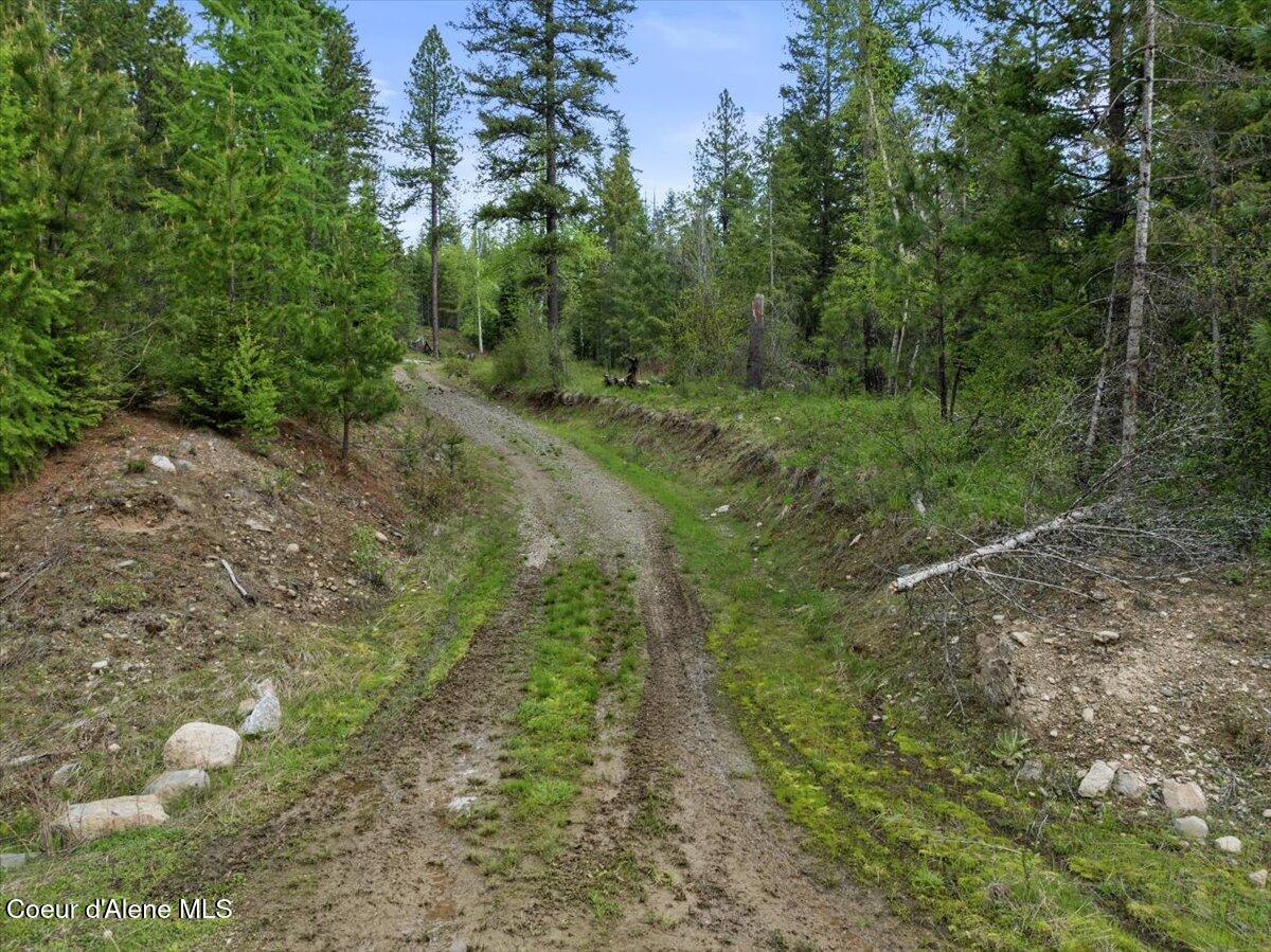 Lot 1 Amethyst Lane, Cocolalla, Idaho image 3