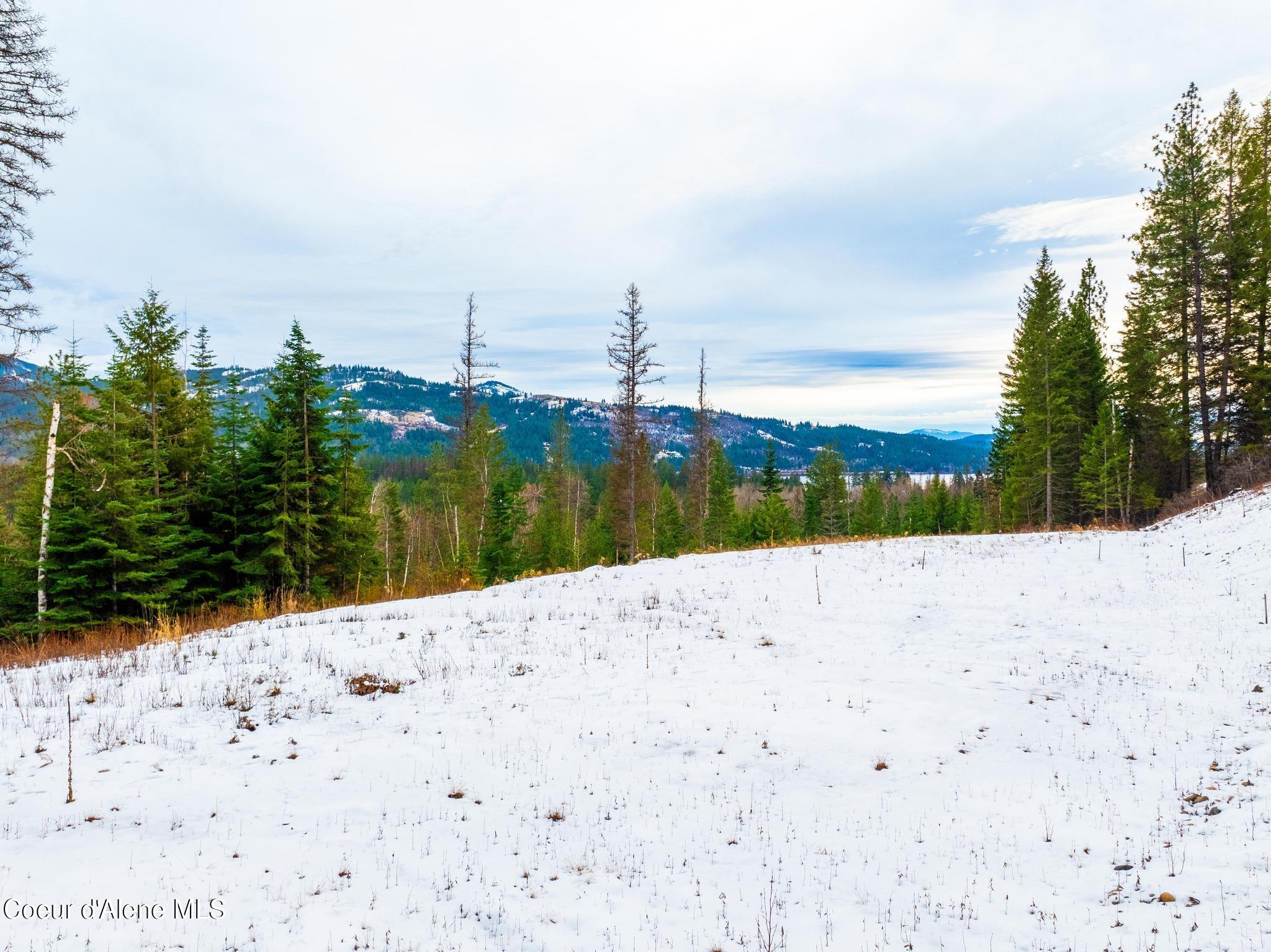 NNA Amethyst Lane, Cocolalla, Idaho image 38