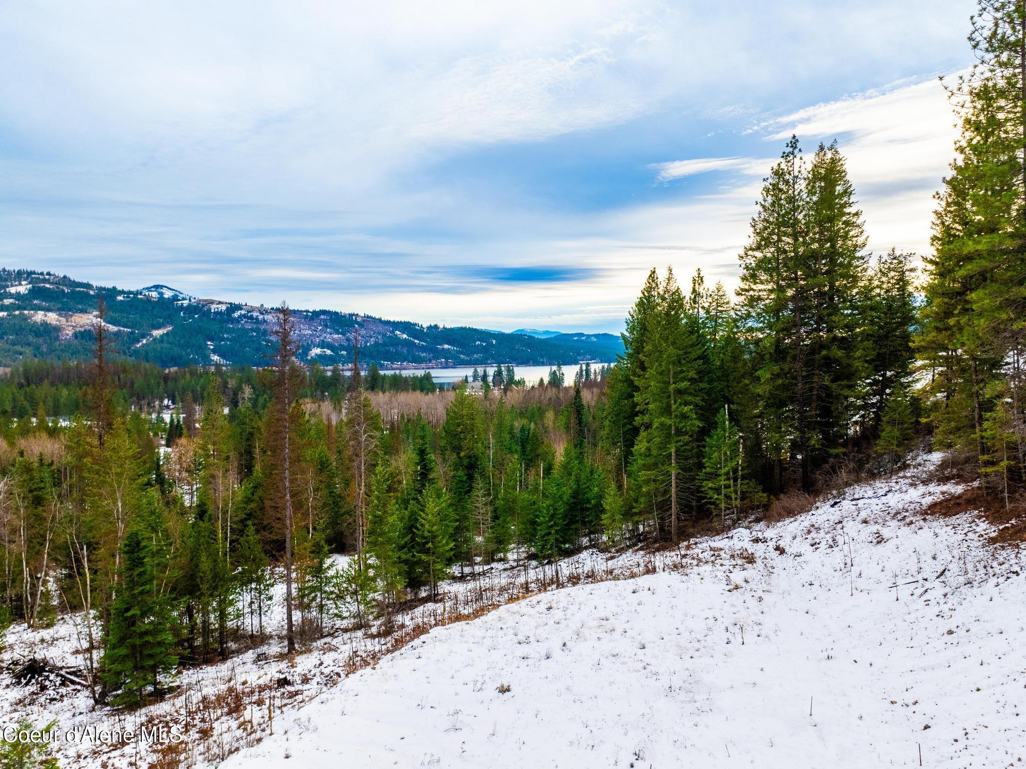 NNA Amethyst Lane, Cocolalla, Idaho image 44