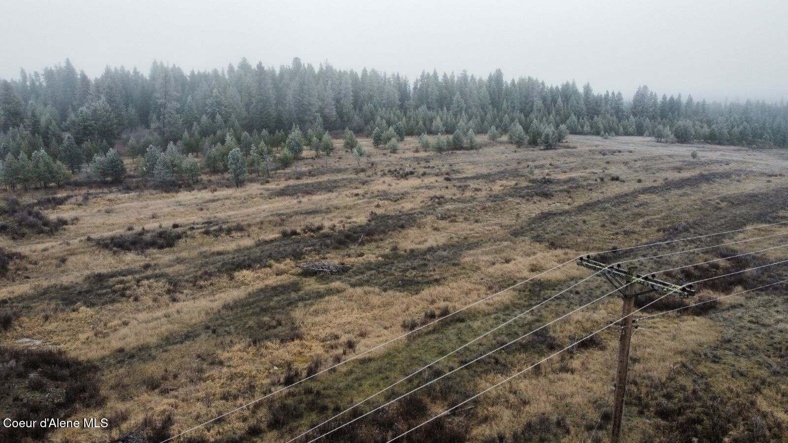 NNA 2.5 Acres, Fernwood, Idaho image 11