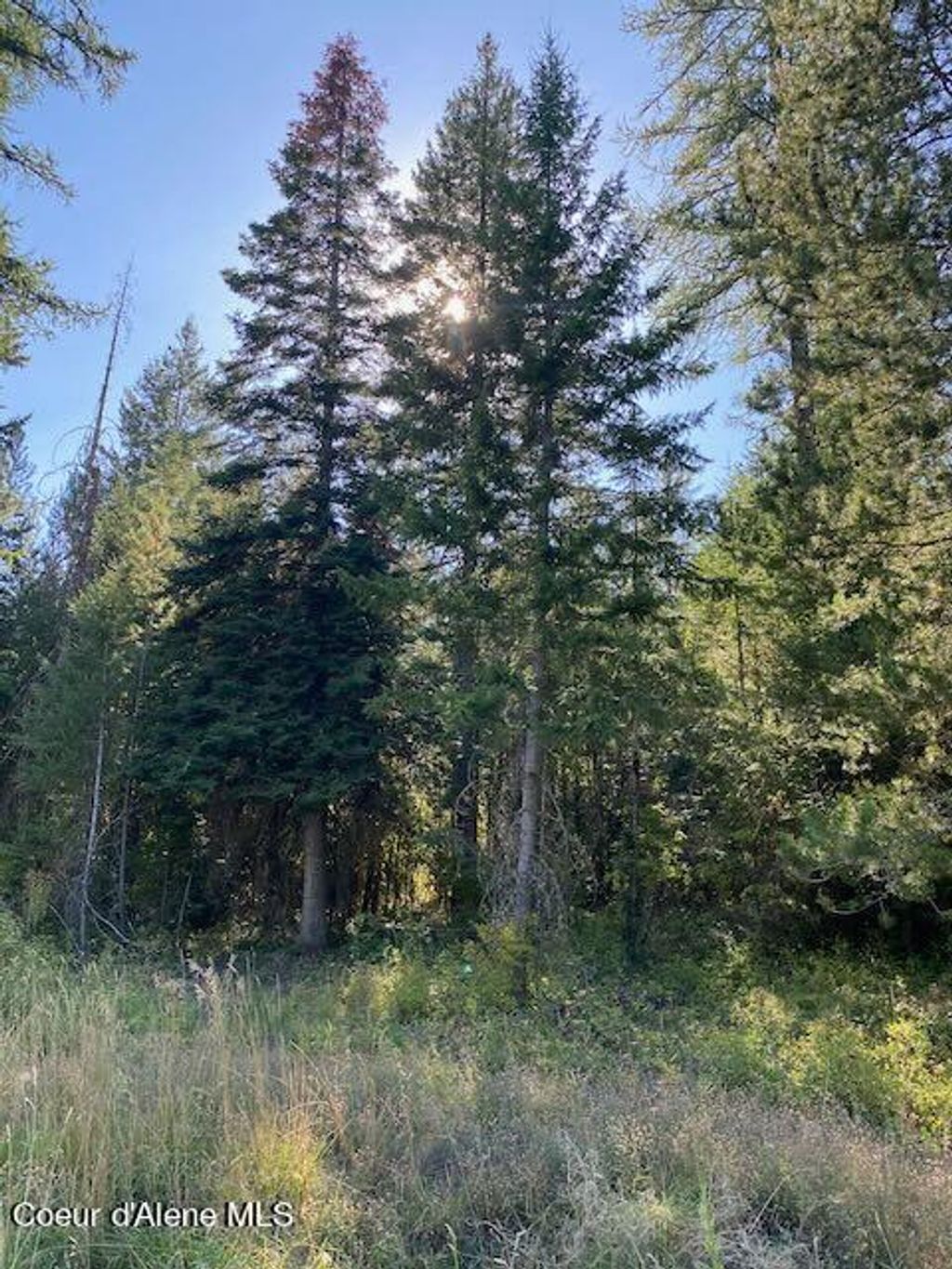 Photo of L3B10 Walden Loop, Rathdrum, ID 83858 (MLS # 24-8778)