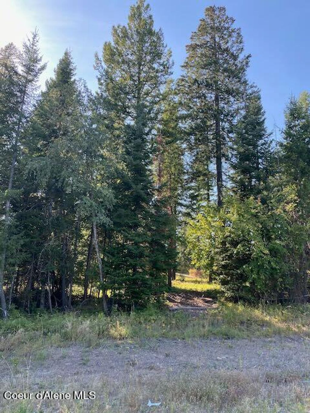 Photo of L3B10 Walden Loop, Rathdrum, ID 83858 (MLS # 24-8778)