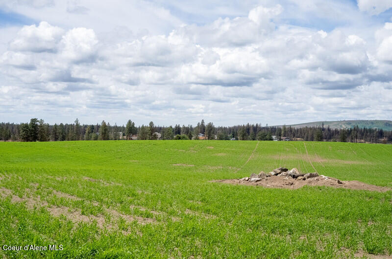 NKA Duck Pond Lot 1 Ln, Medical Lake, Washington image 5