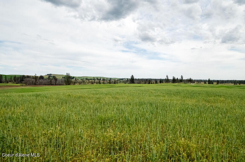 NKA Duck Pond Lot 1 Ln, Medical Lake, Washington image 8