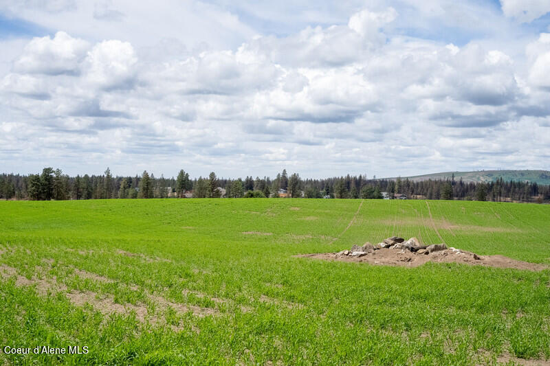 NKA Duck Pond Lot 1 Ln, Medical Lake, Washington image 9