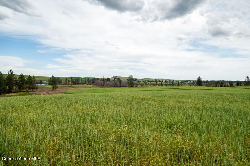 NKA Duck Pond Lot 1 Ln, Medical Lake, Washington image 7