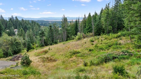 Vacant Land For Sale - NNA W Biggs Rd. Lot 1<br/> Rathdrum, ID 83858