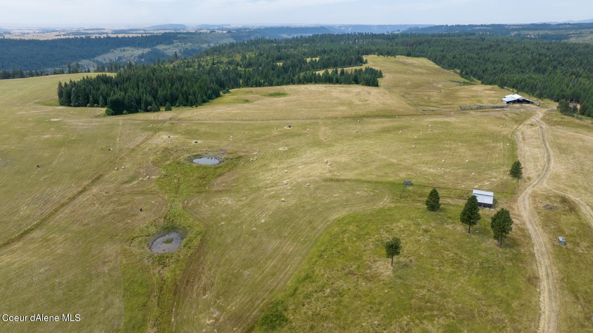 1605 Jasmine Ln, Parcel 7, Weippe, Idaho image 3