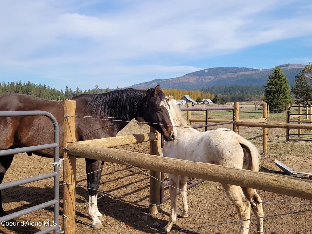 Photo of 229 McDonald Creek Creek, Blanchard, ID 83804 (MLS # 26-1048)