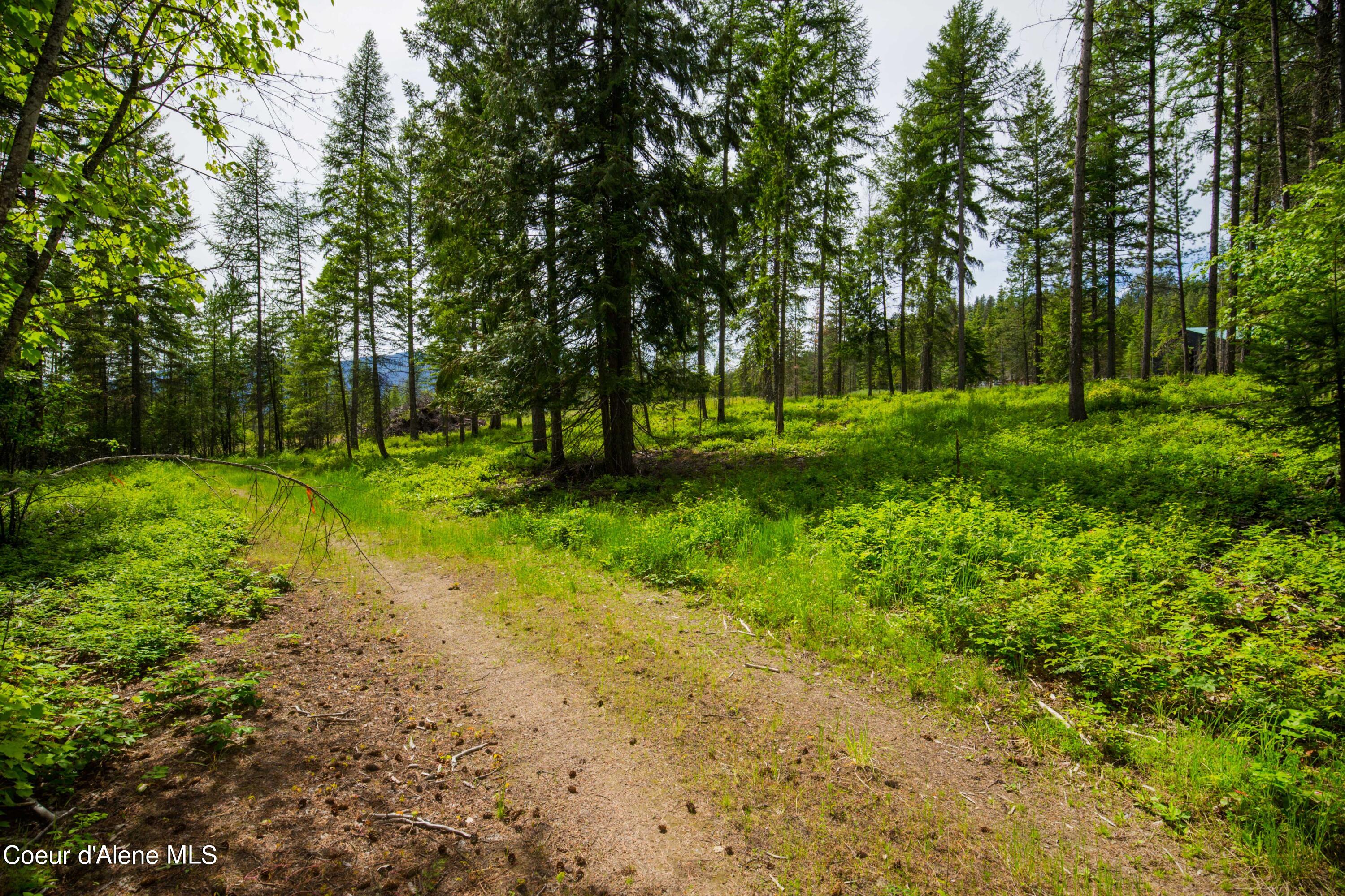 NNA Lupine Rd, Bonners Ferry, Idaho image 2