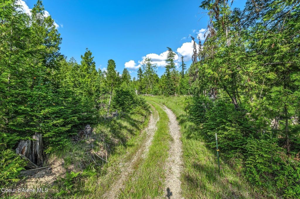 Photo of 245 Barbary Trl, Sandpoint, ID 83864 (MLS # 26-4054)