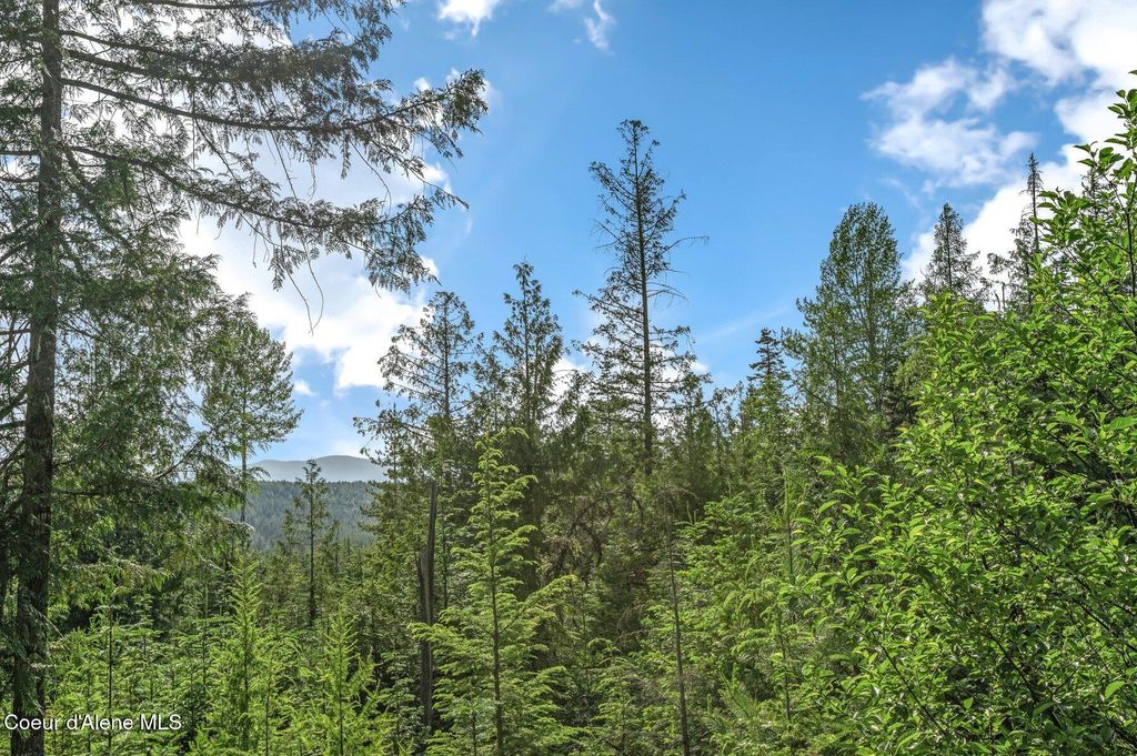 Photo of 245 Barbary Trl, Sandpoint, ID 83864 (MLS # 26-4054)