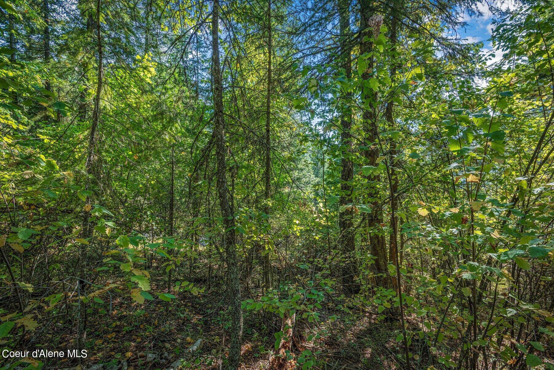 NKA Silver Creek Road, Clark Fork, Idaho image 12