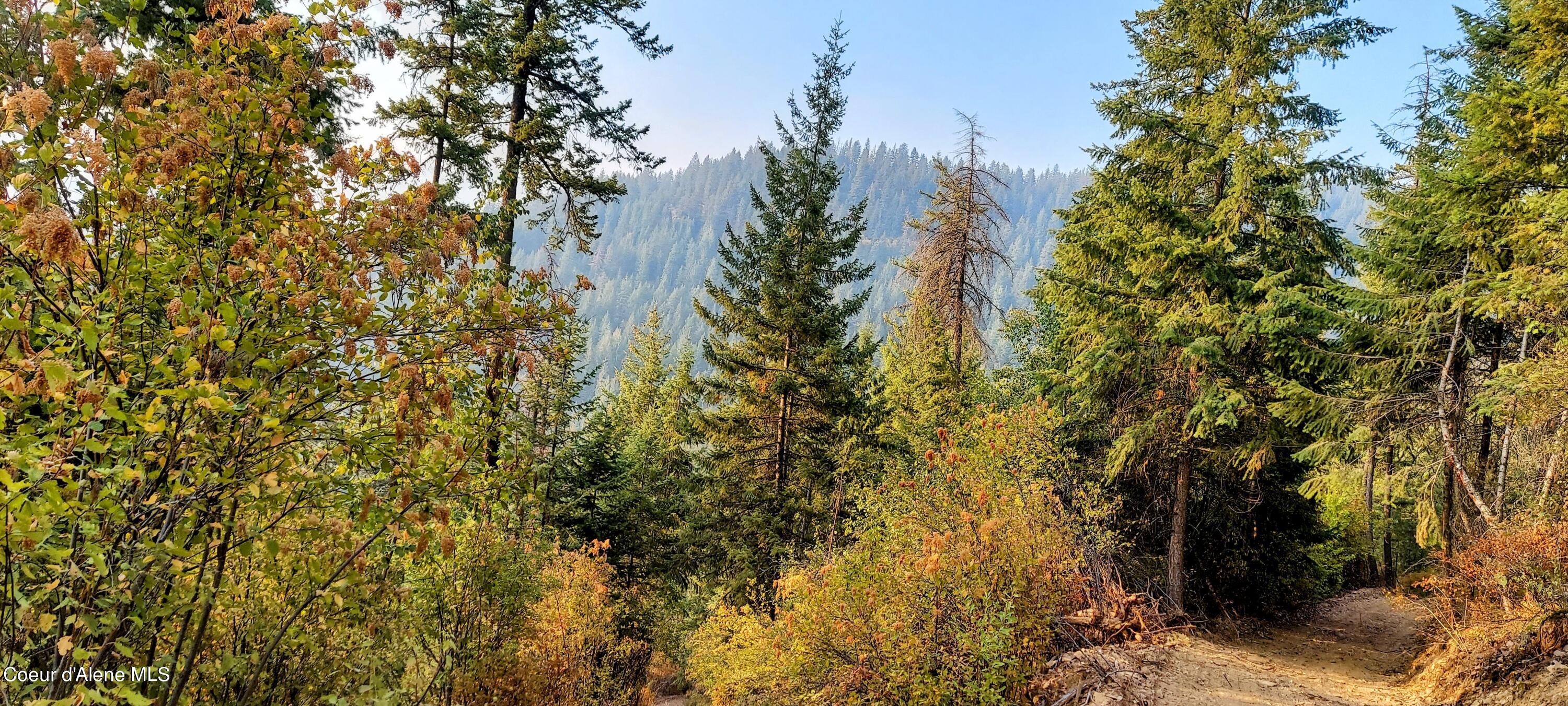 NKA Silver Creek Road, Clark Fork, Idaho image 34