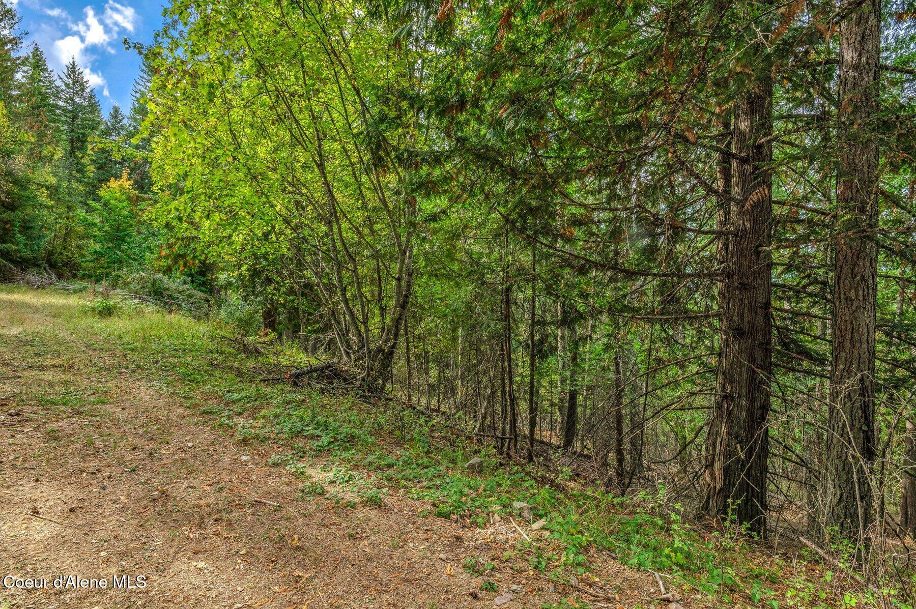 NKA Silver Creek Road, Clark Fork, Idaho image 4