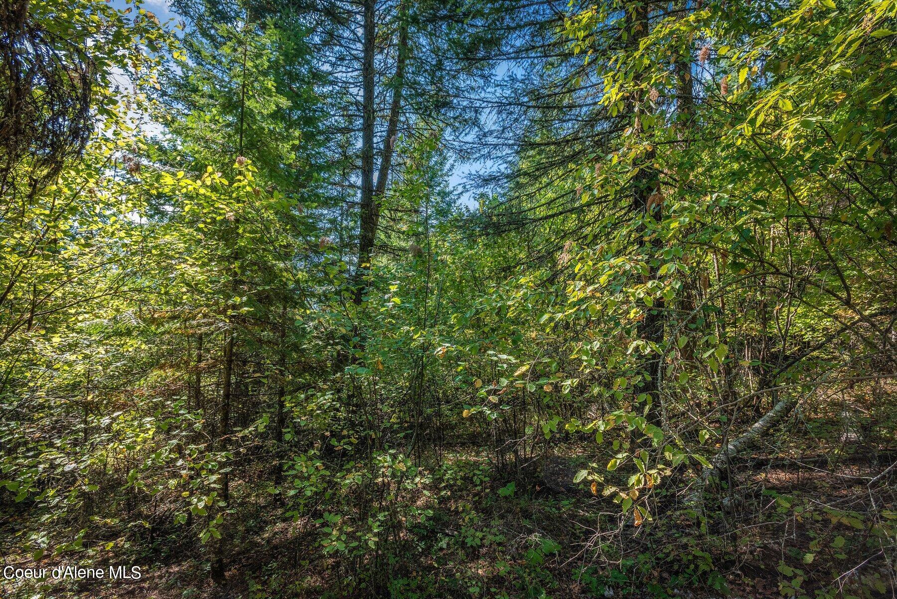 NKA Silver Creek Road, Clark Fork, Idaho image 23