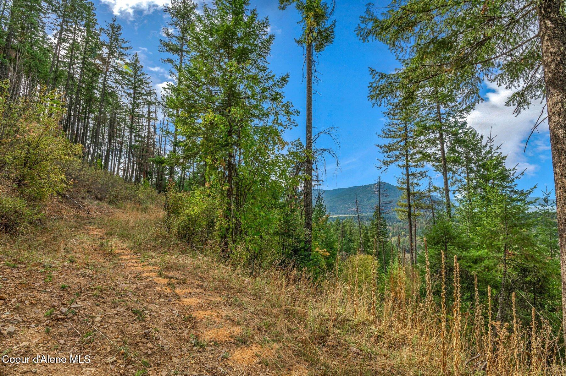 NKA Silver Creek Road, Clark Fork, Idaho image 20