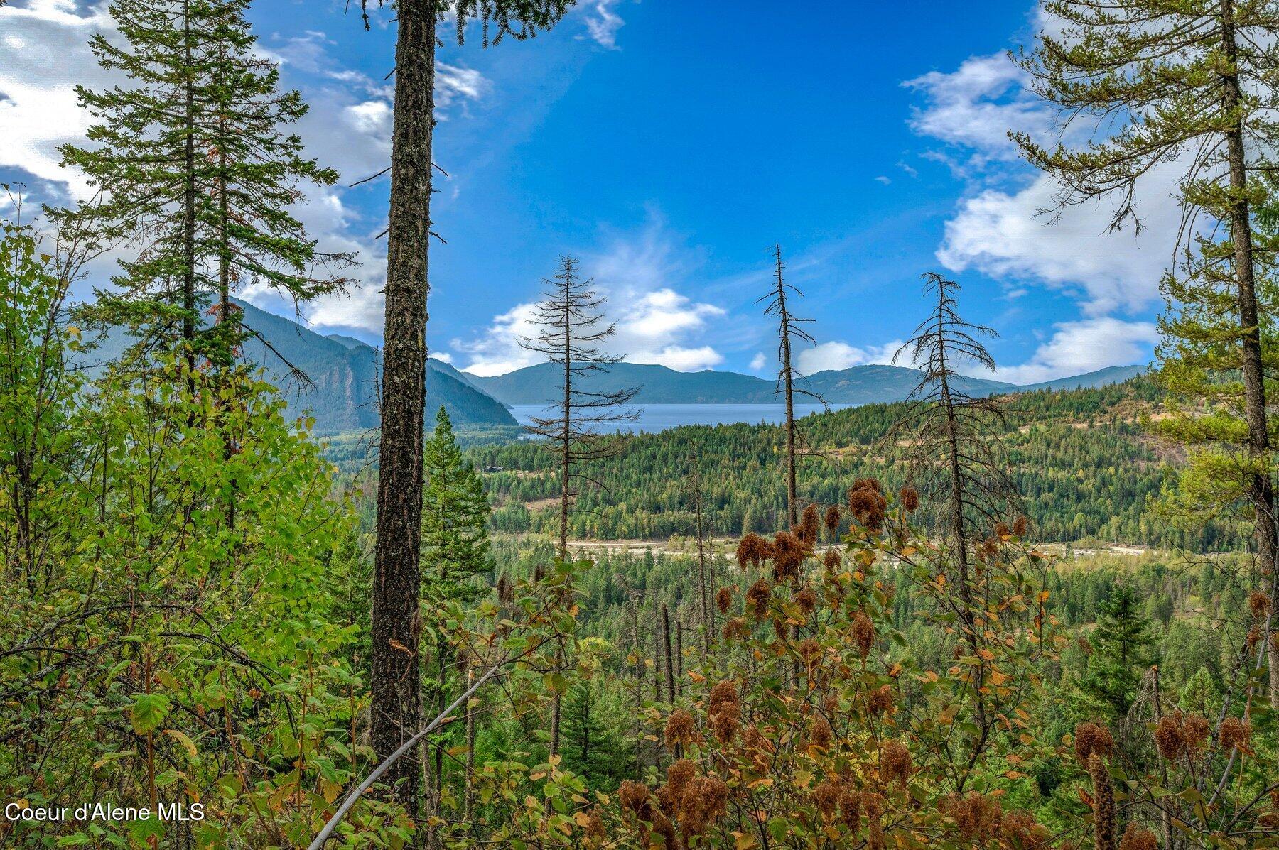 NKA Silver Creek Road, Clark Fork, Idaho image 8