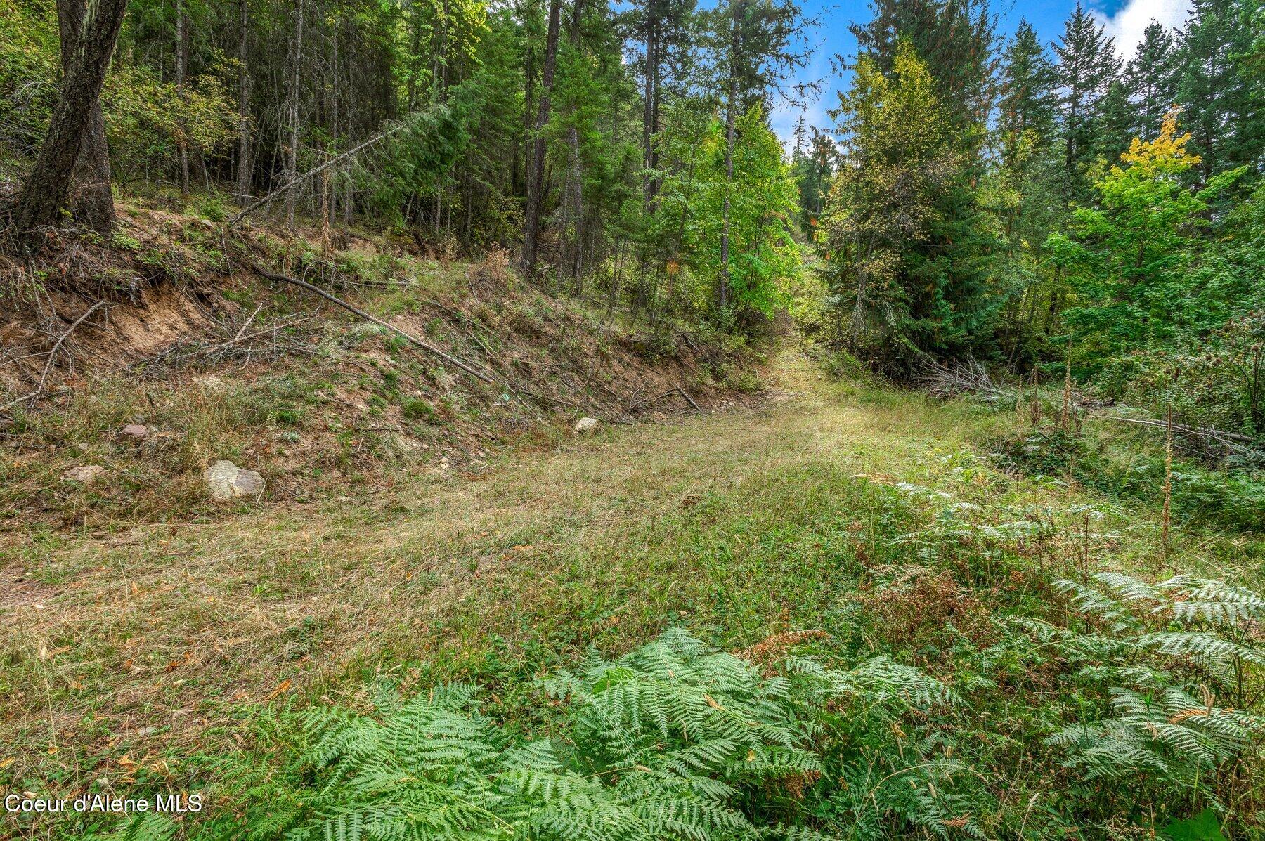 NKA Silver Creek Road, Clark Fork, Idaho image 40