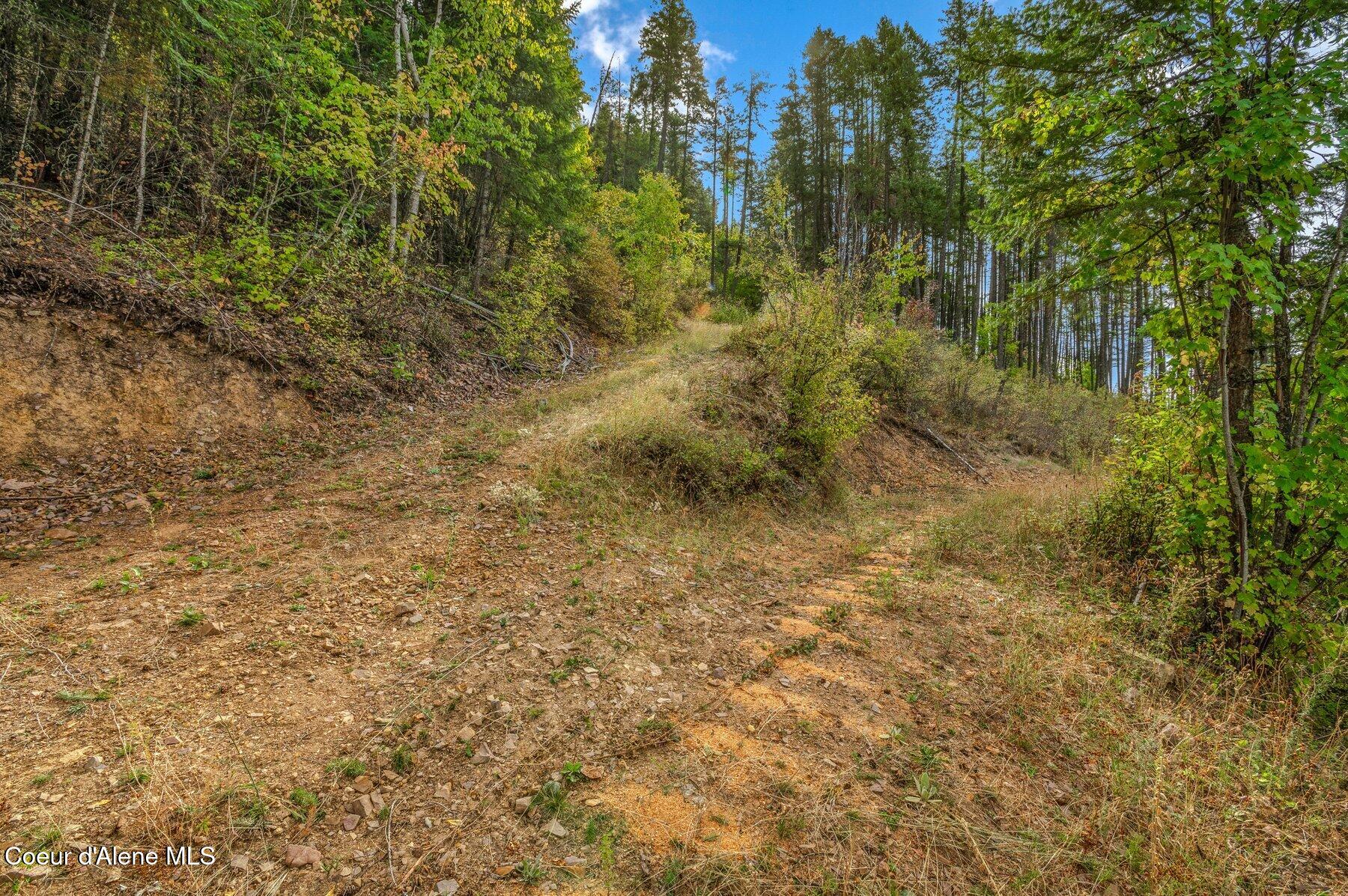 NKA Silver Creek Road, Clark Fork, Idaho image 37