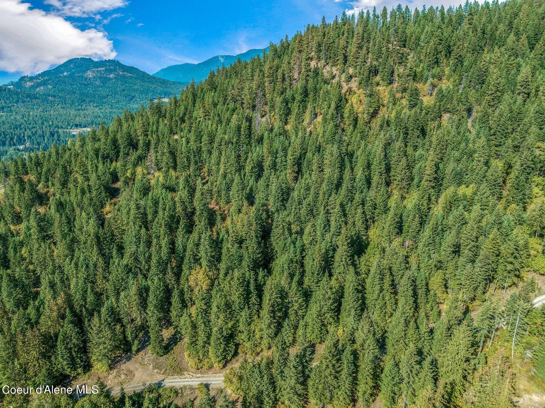 NKA Silver Creek Road, Clark Fork, Idaho image 25