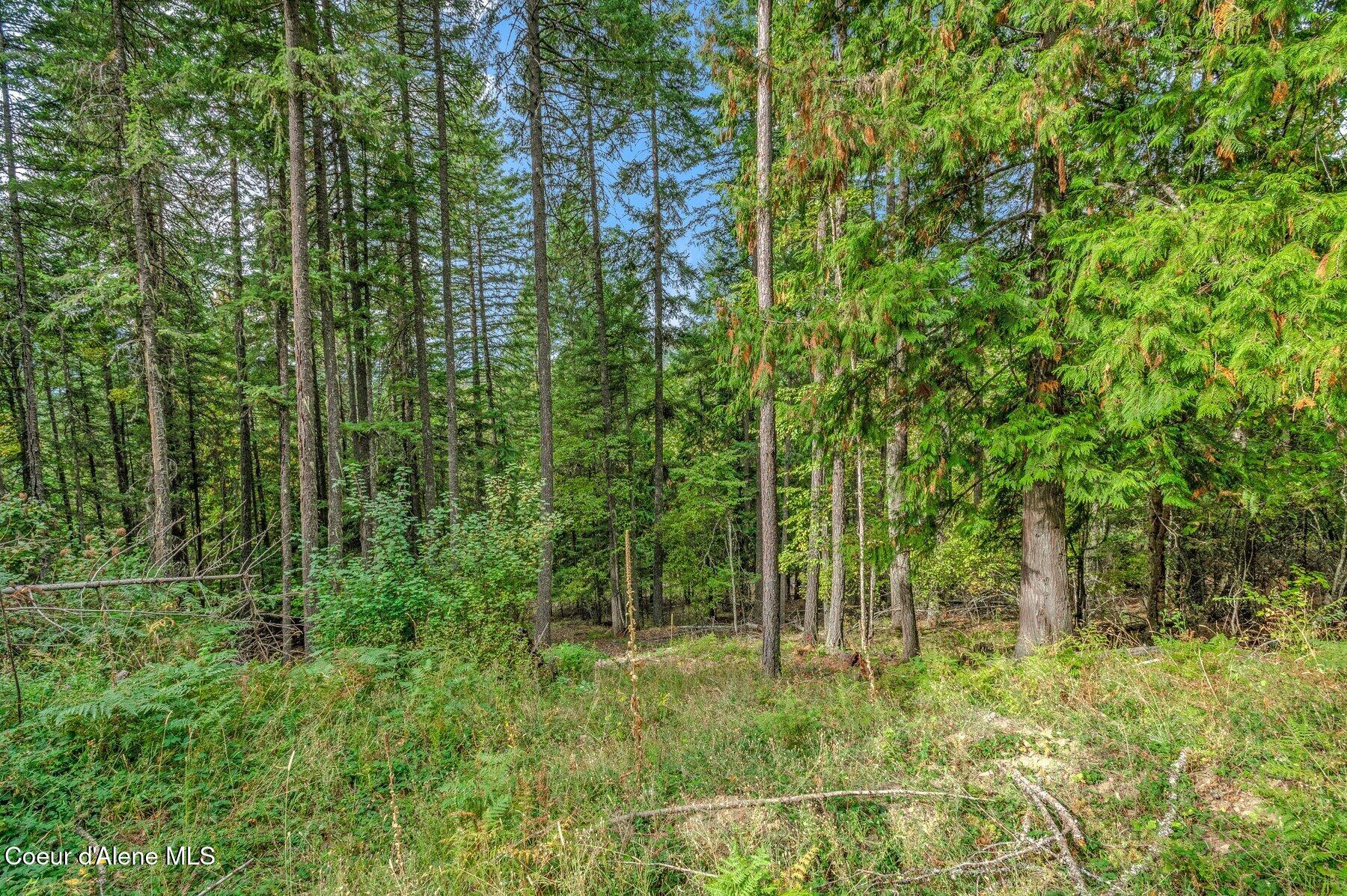 NKA Silver Creek Road, Clark Fork, Idaho image 3