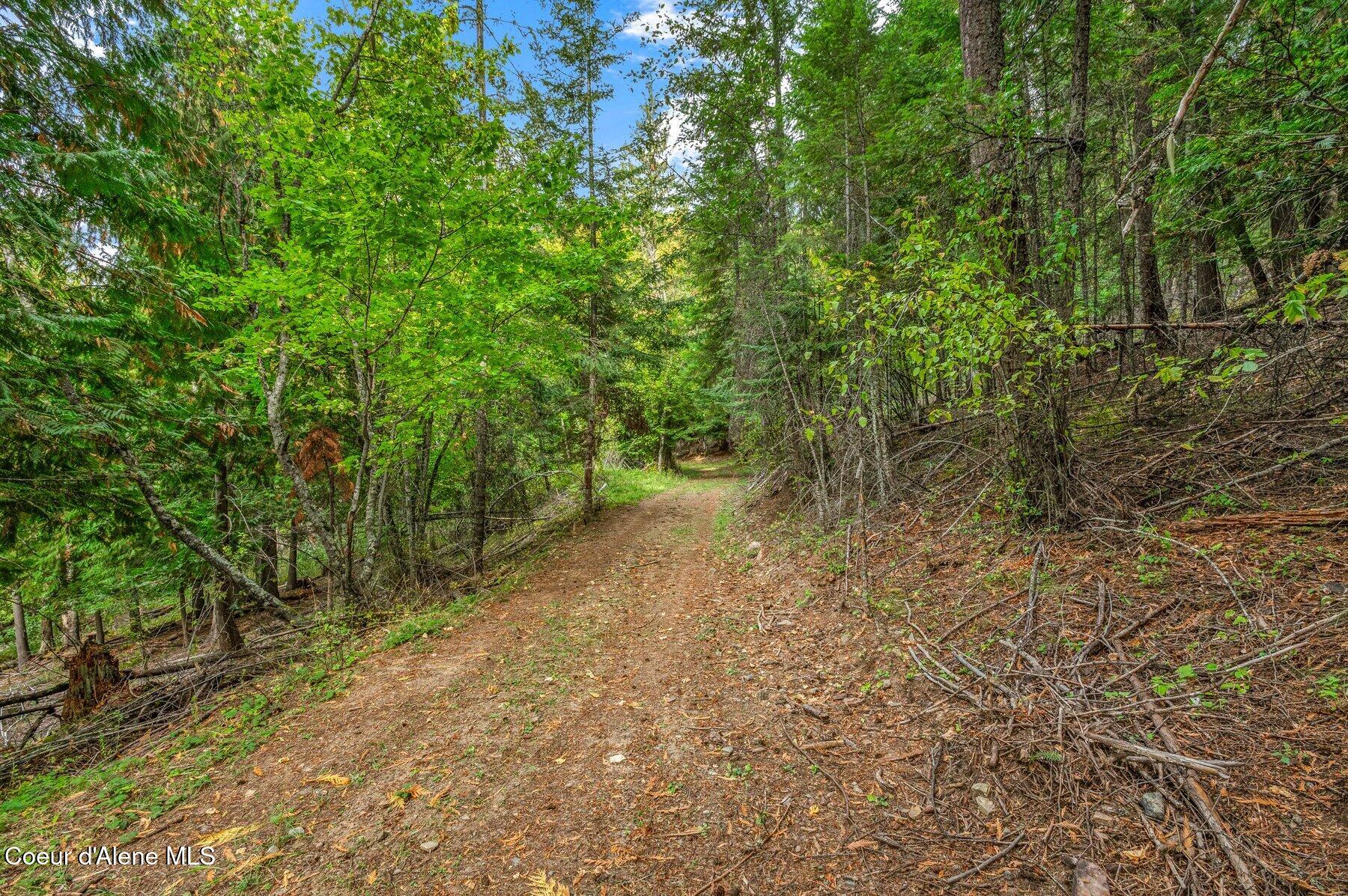 NKA Silver Creek Road, Clark Fork, Idaho image 42