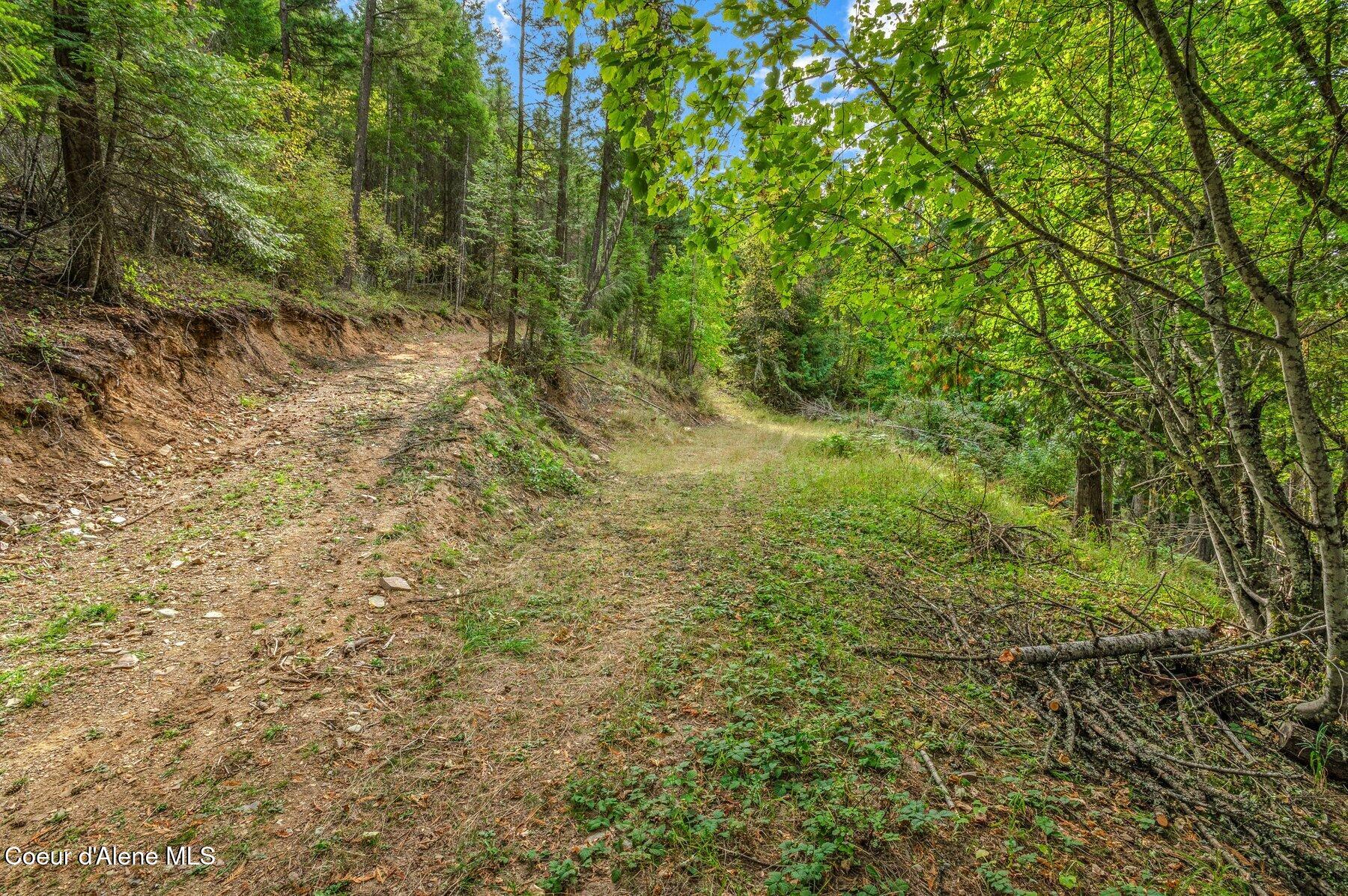 NKA Silver Creek Road, Clark Fork, Idaho image 13