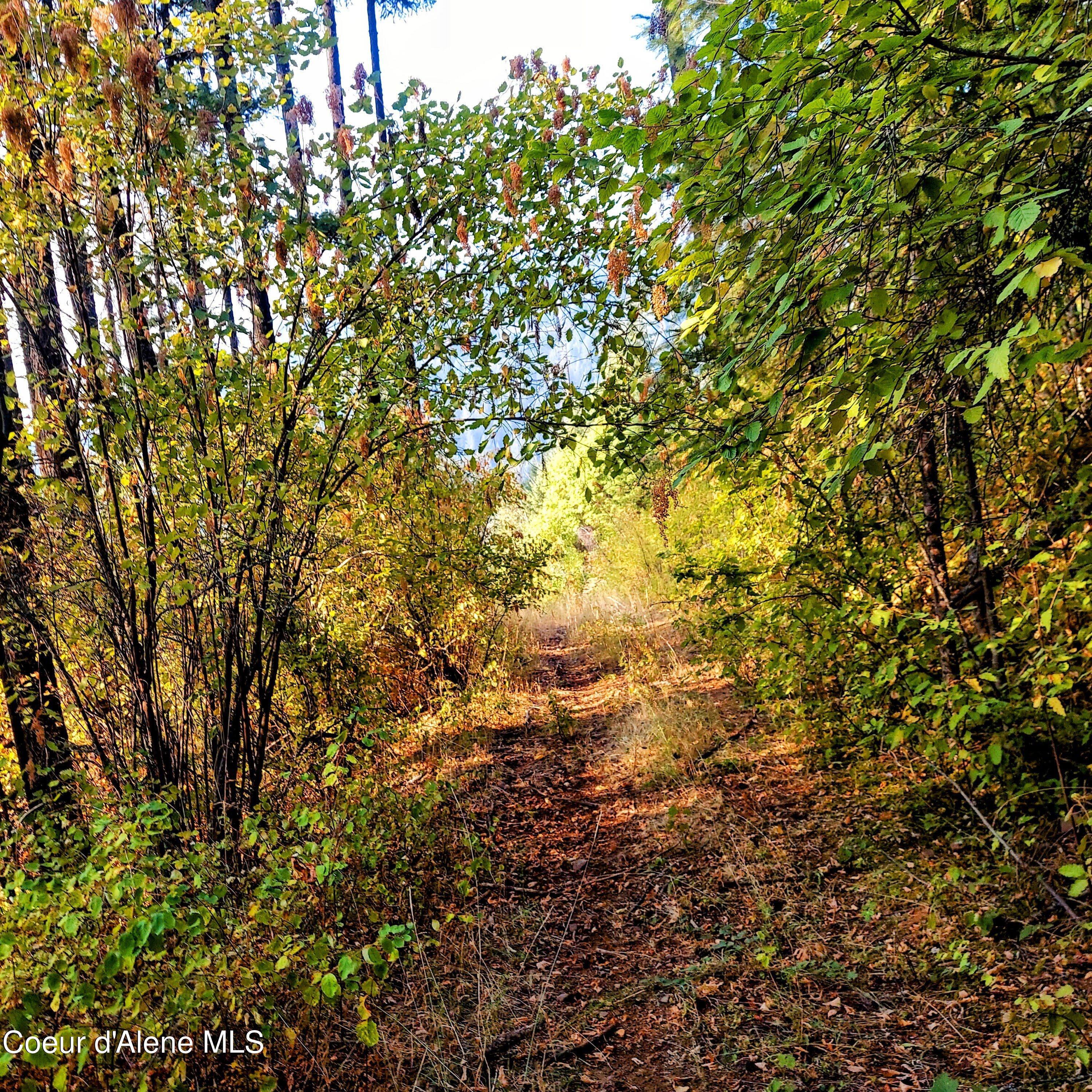 NKA Silver Creek Road, Clark Fork, Idaho image 31