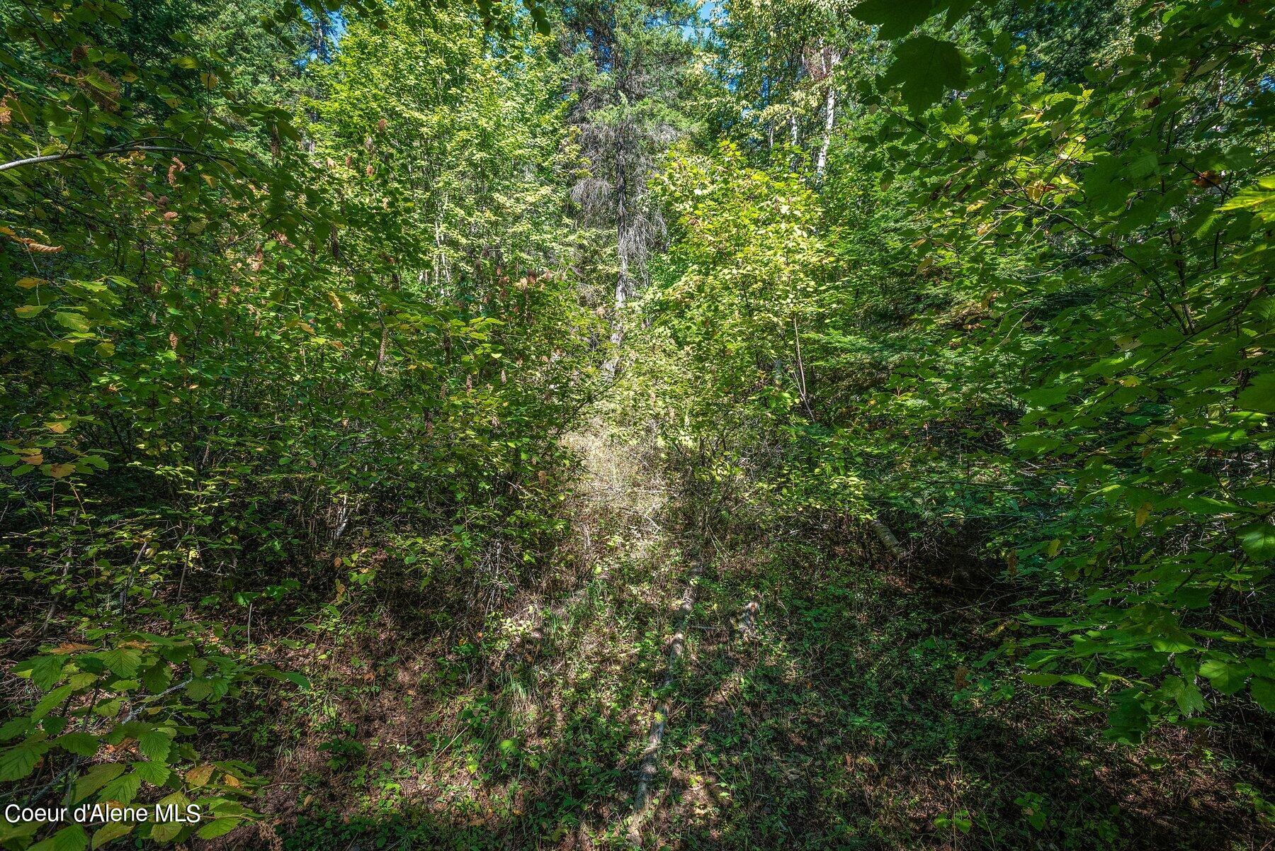 NKA Silver Creek Road, Clark Fork, Idaho image 22