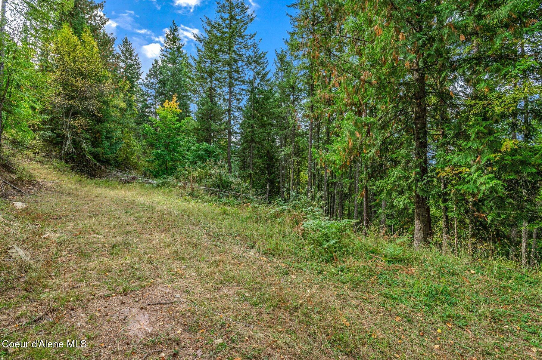 NKA Silver Creek Road, Clark Fork, Idaho image 39