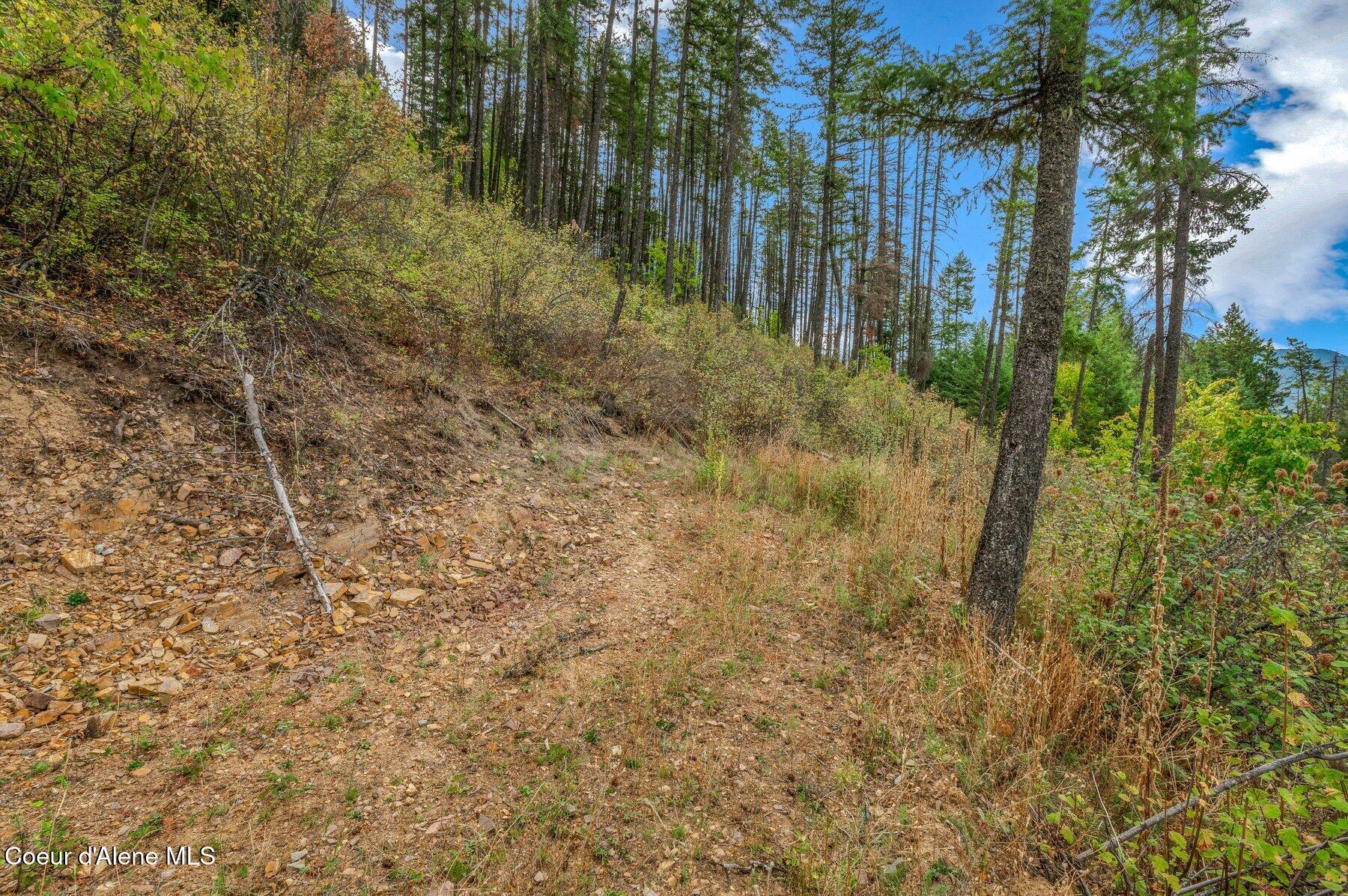 NKA Silver Creek Road, Clark Fork, Idaho image 38