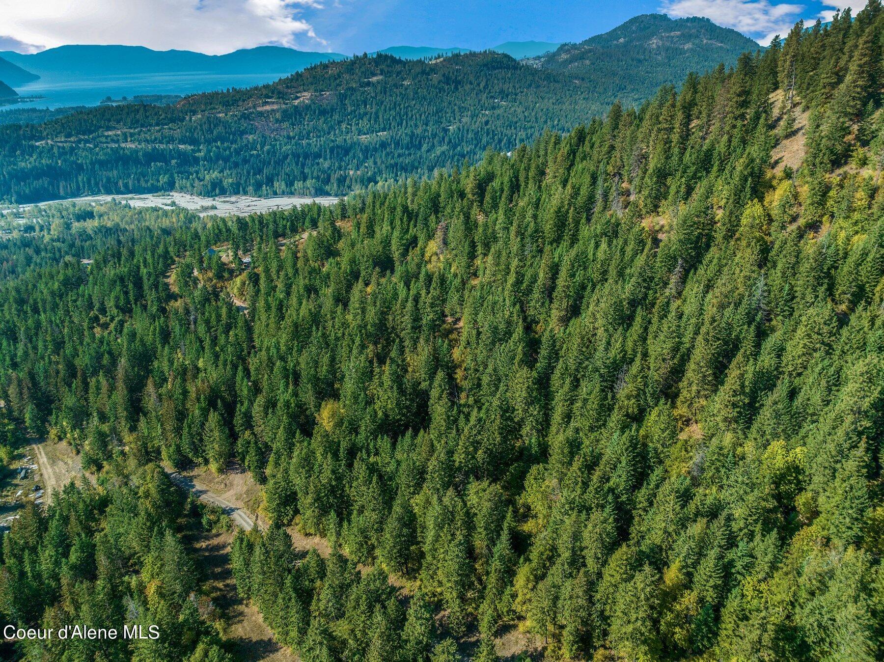 NKA Silver Creek Road, Clark Fork, Idaho image 14