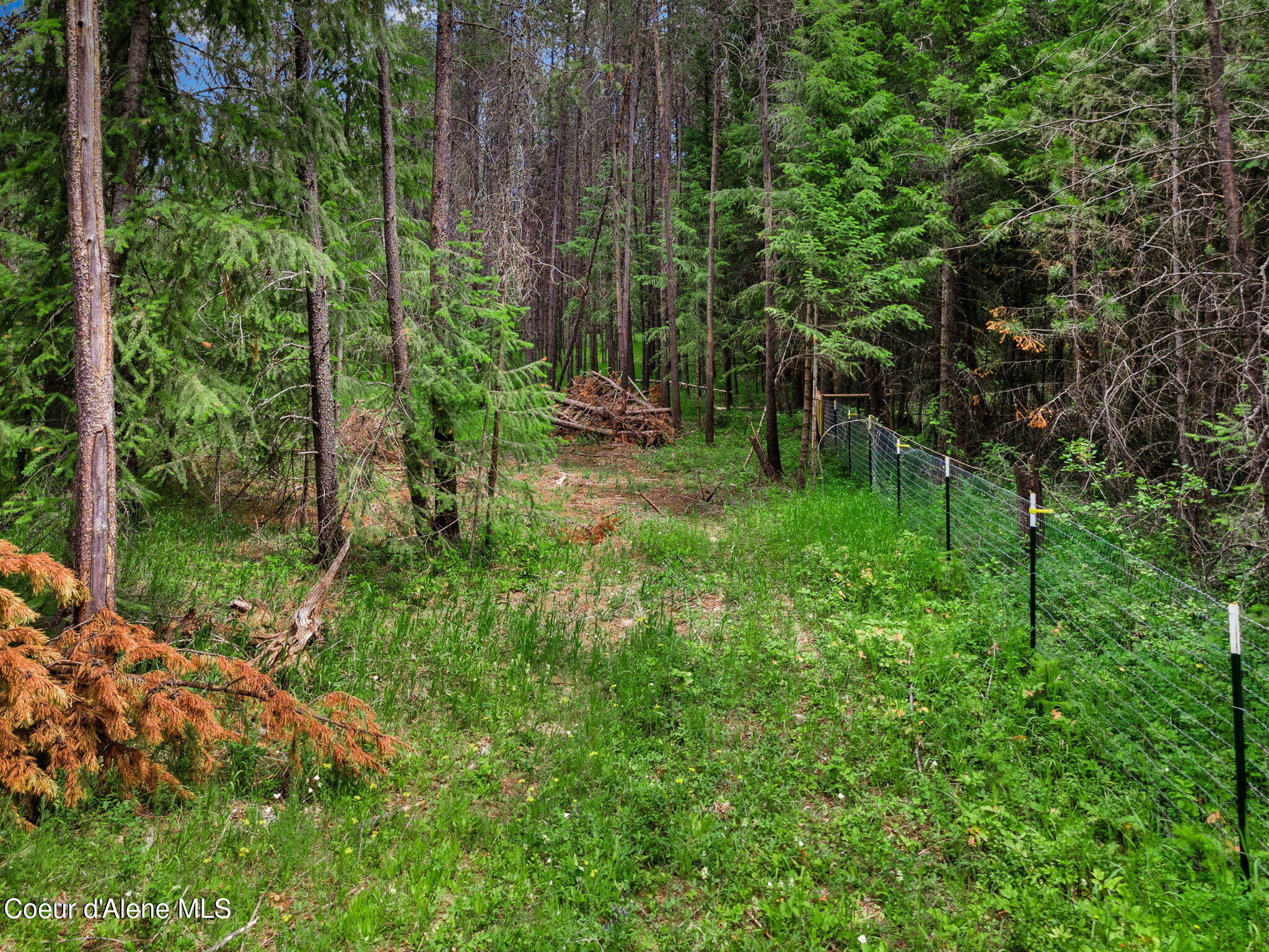 NKA Rock Springs Rd Lot 2a Ave #A, Athol, Idaho image 7