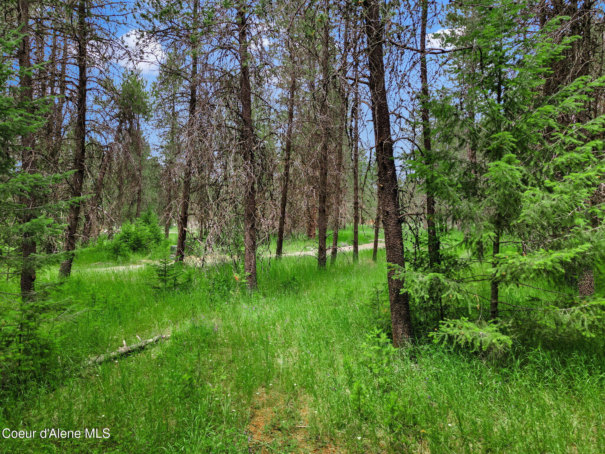 NKA Rock Springs Rd Lot 2a Ave #A, Athol, Idaho image 3