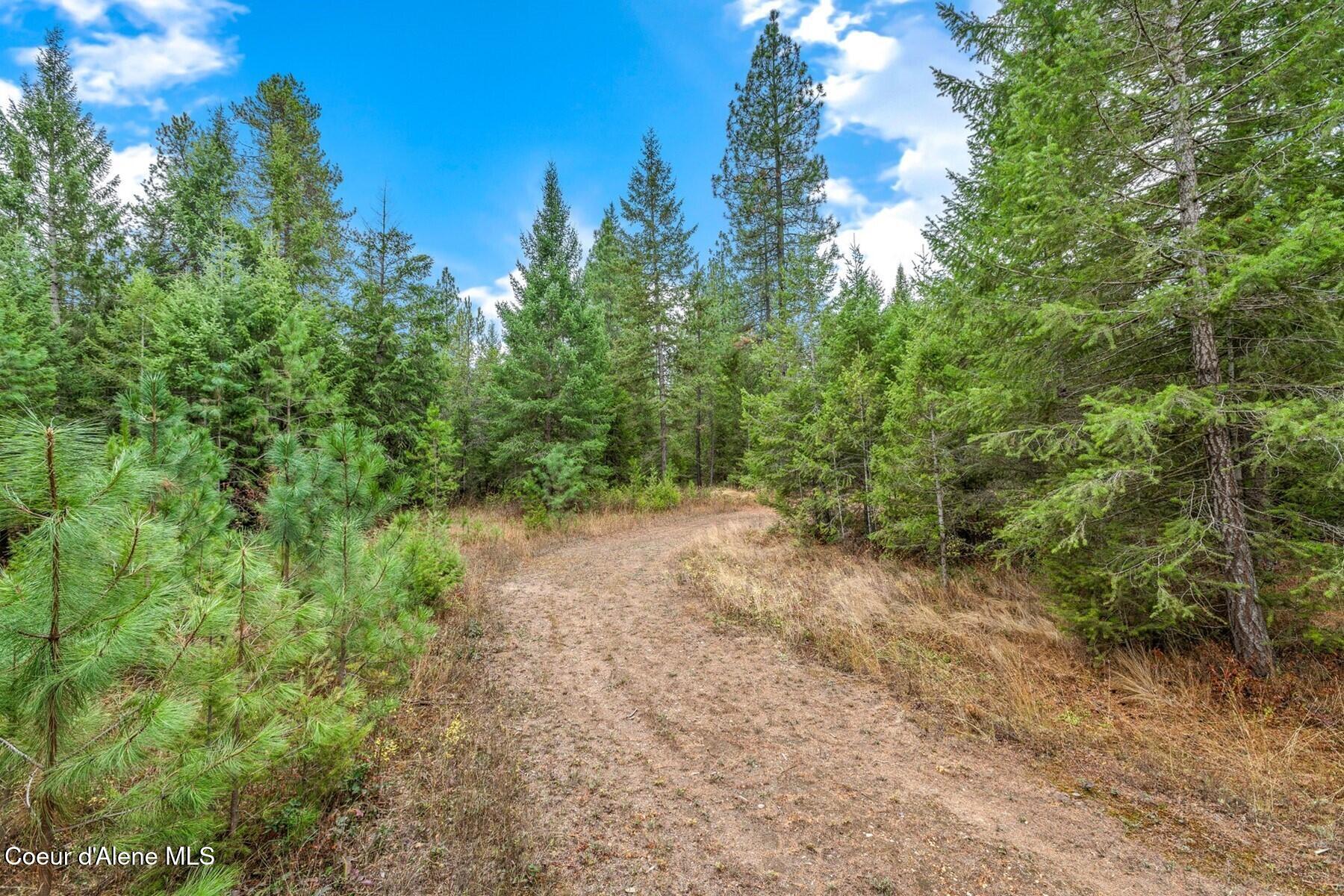 5296 Old Priest River, Oldtown, Idaho image 37