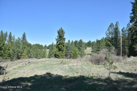 Vacant Land For Sale - NNA Farup<br/> Worley, ID 83876