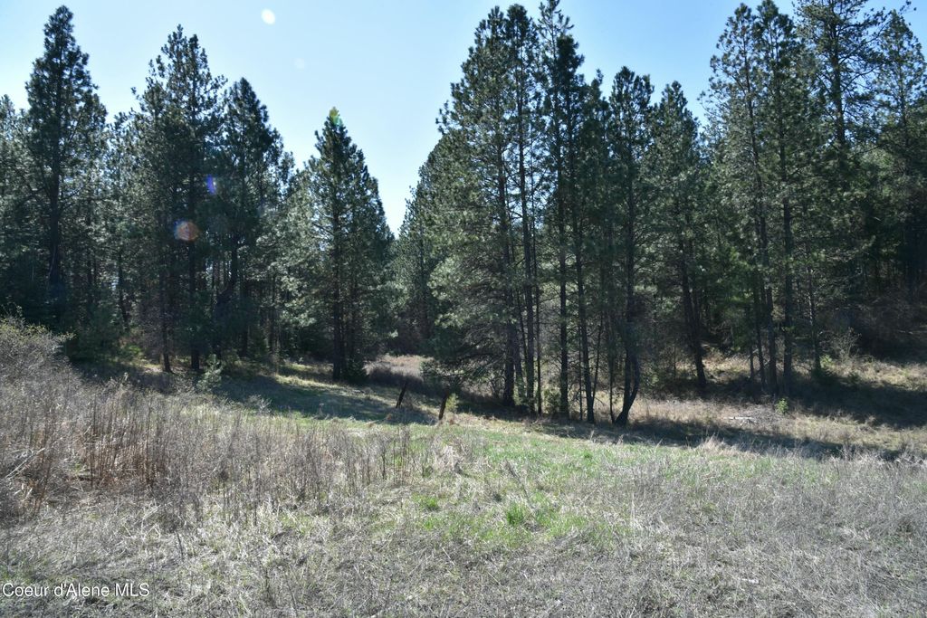Photo of NNA Farup, Worley, ID 83876 (MLS # 26-3000)