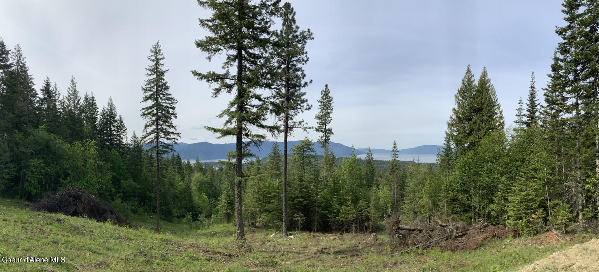 NKA Cougar Peak Road, Hope, Idaho image 2