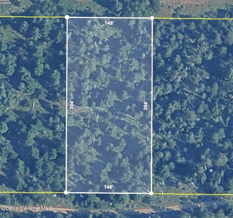Vacant Land For Sale - L3 B128 Washington<br/> Spirit Lake, ID 83869