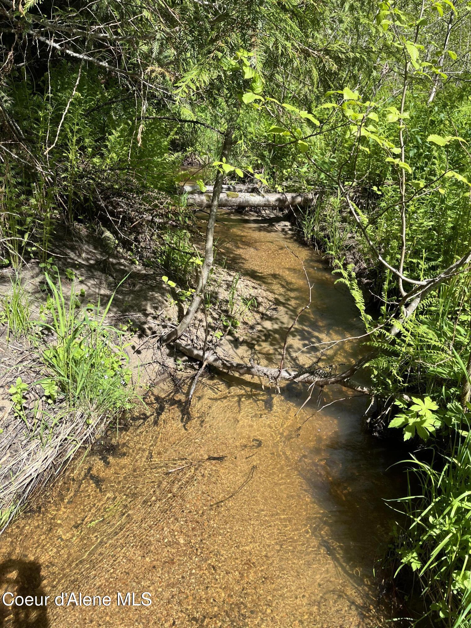 NNA Tanglewood Dr, Priest River, Texas image 29