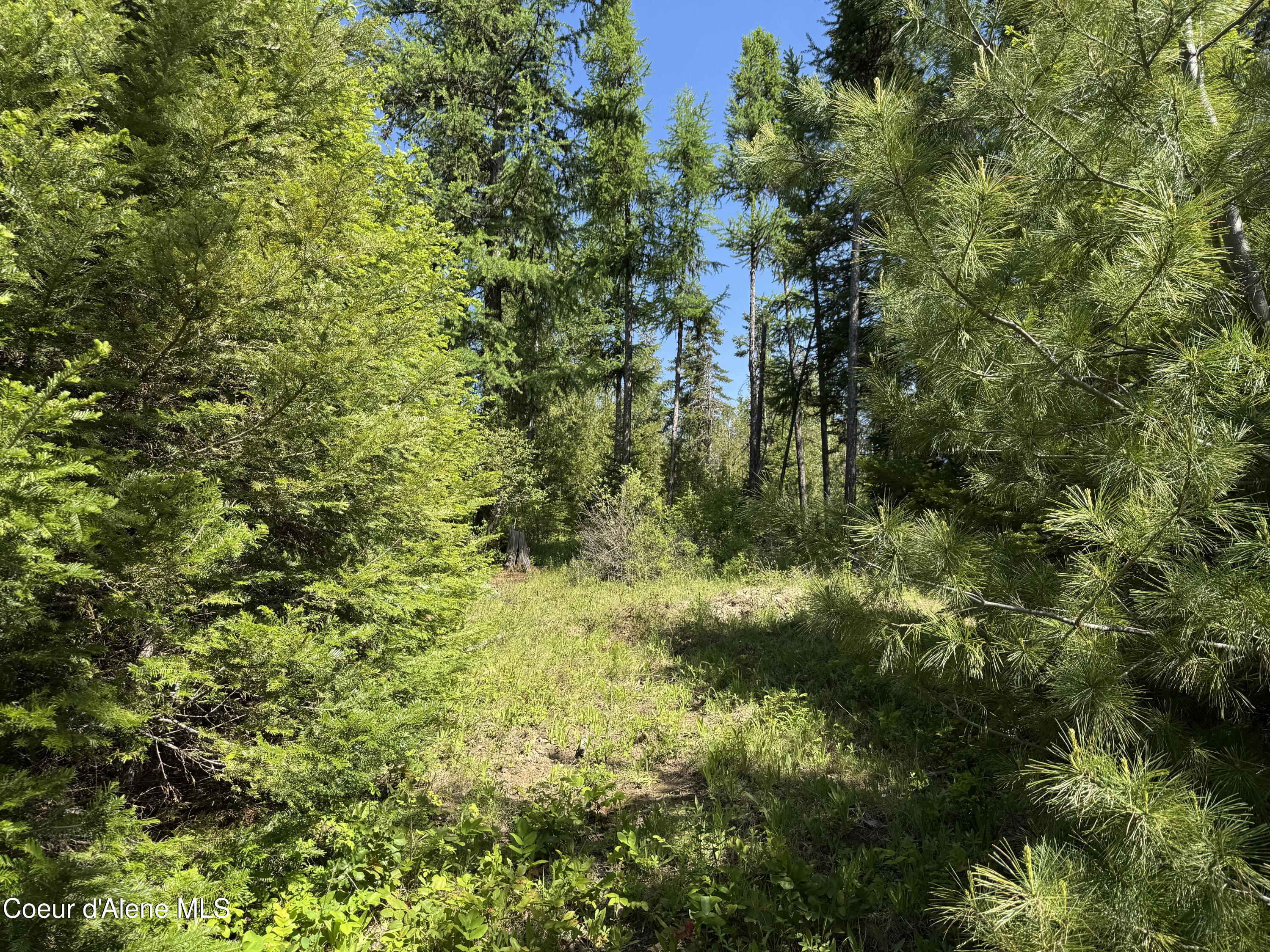 NNA Tanglewood Dr, Priest River, Texas image 17