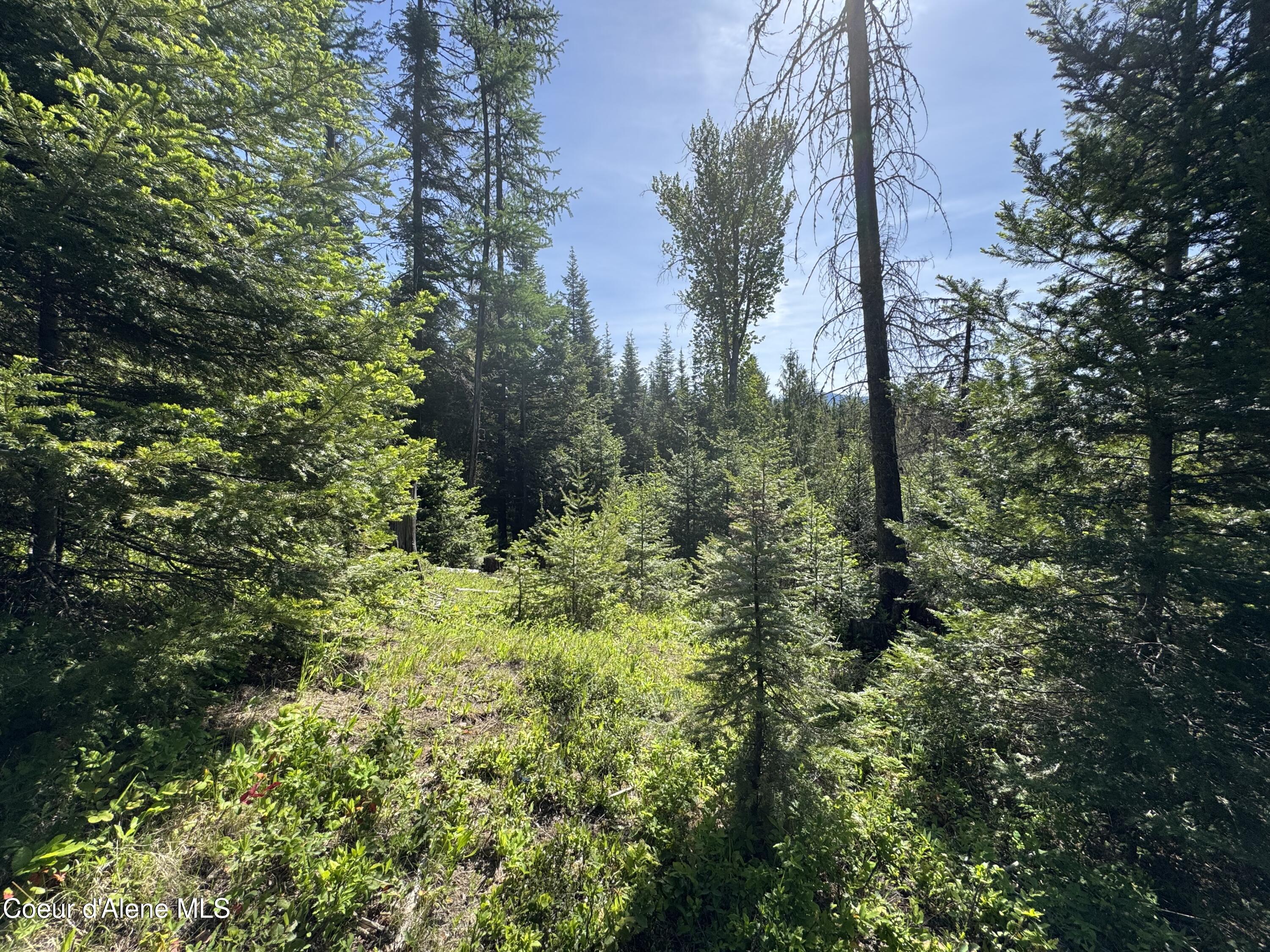 NNA Tanglewood Dr, Priest River, Texas image 18