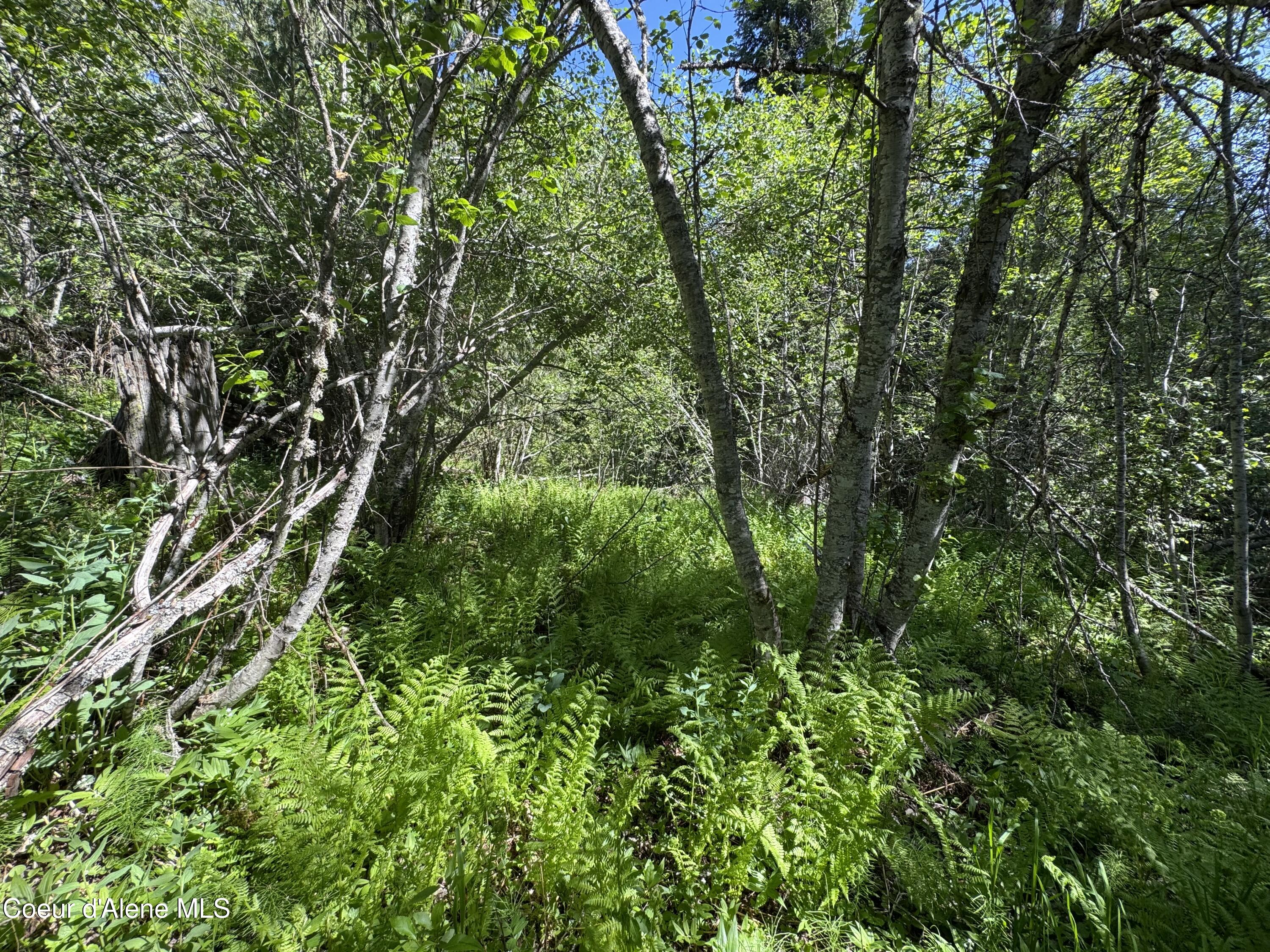 NNA Tanglewood Dr, Priest River, Texas image 12