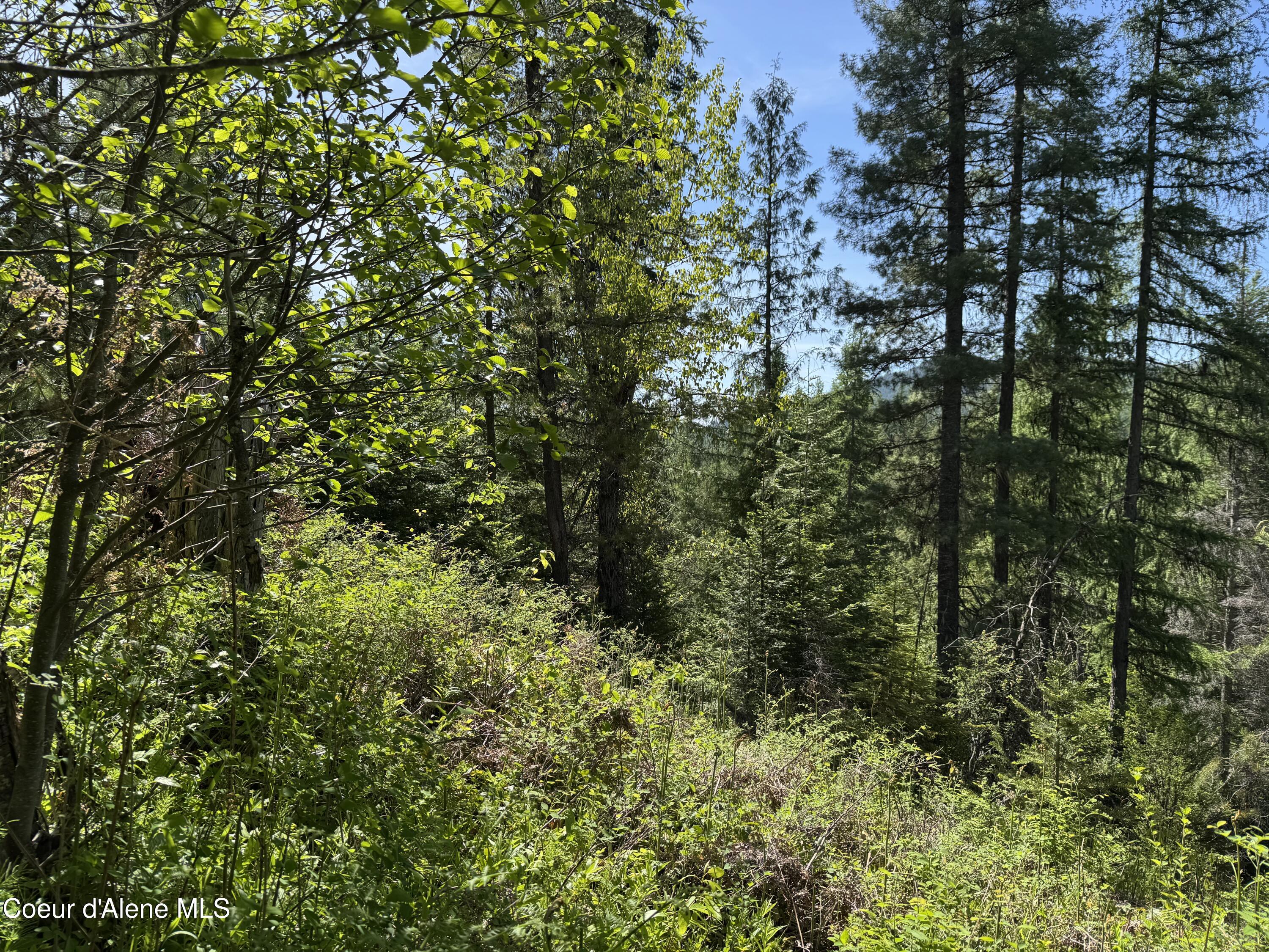 NNA Tanglewood Dr, Priest River, Texas image 9
