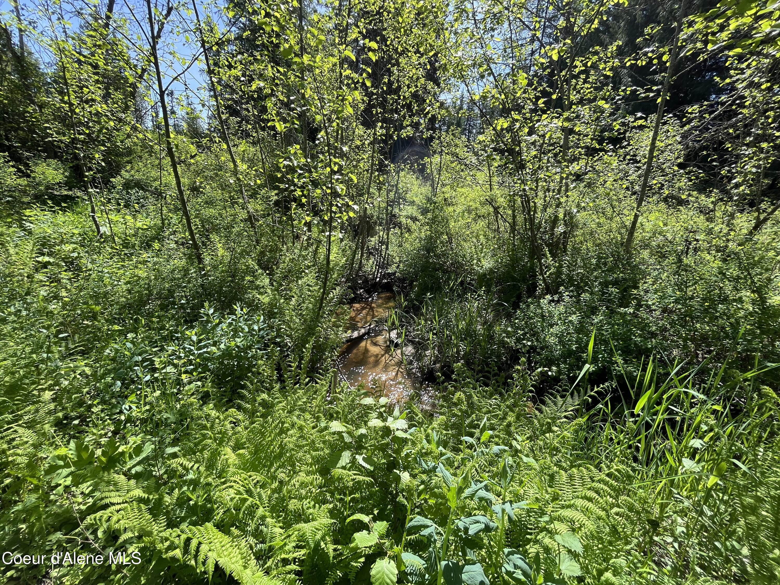 NNA Tanglewood Dr, Priest River, Texas image 30