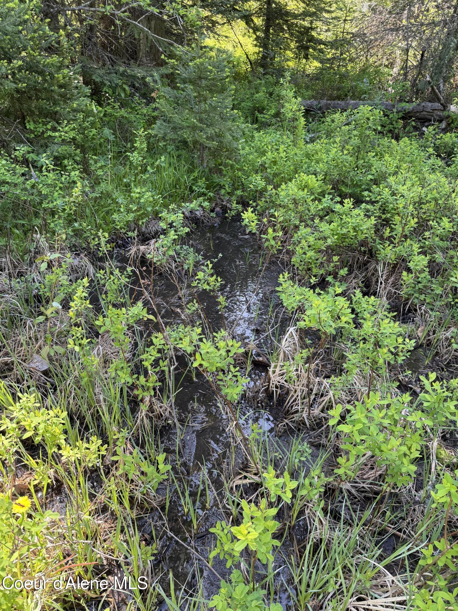 NNA Tanglewood Dr, Priest River, Texas image 25