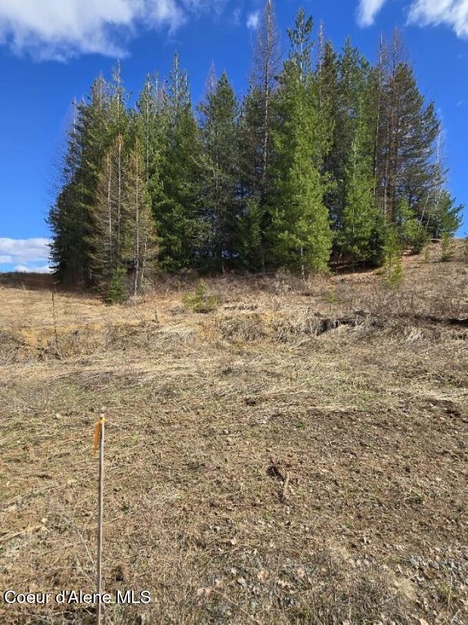 NNA Nettleingham Circle, Sandpoint, Alaska image 2