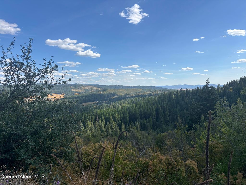 Photo of Treetop, Plummer, ID 83851 (MLS # 26-3305)