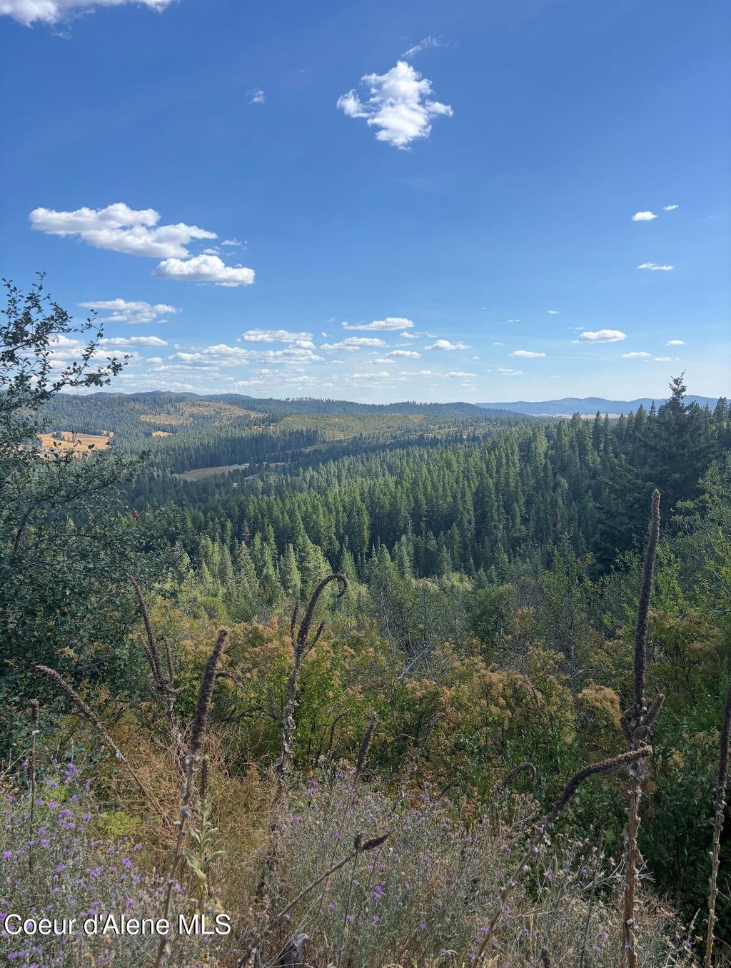 Photo of Treetop, Plummer, ID 83851 (MLS # 26-3305)